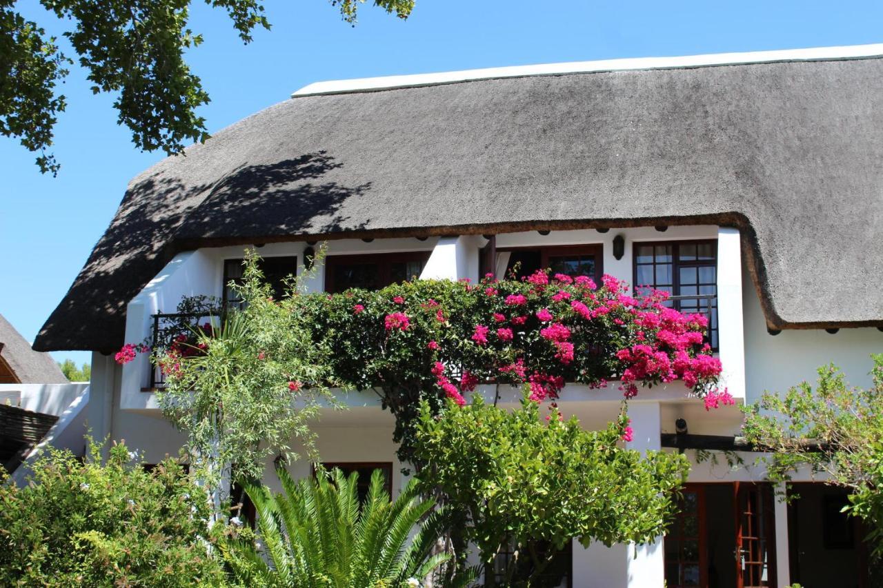 Wedgeview Country House & Spa Stellenbosch Exterior foto